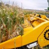 Приставка для уборки сои,бобовых Flex от 5м до 9м