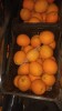 Апельсины