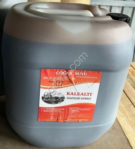 ЭКСТРАКТ МЫЛЬНОГО КОРНЯ :6%