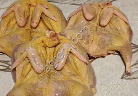 Тушки перепелок. 3500 голов.