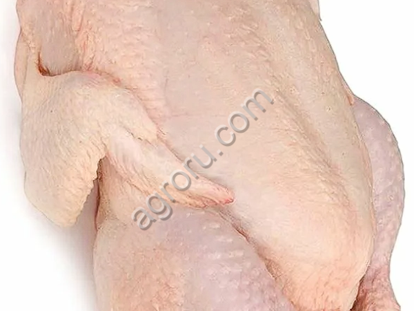 Куры домашние. Халяль.