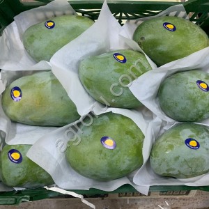Манго свежее