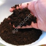 Торфосмесь