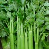 Фрукты и овощи из Ирана
