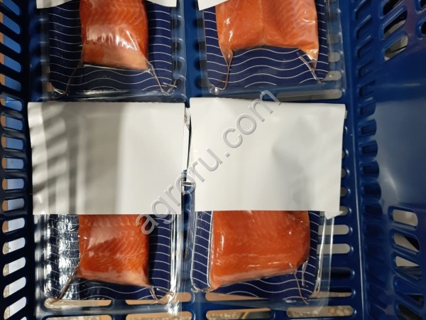 ОБОРУДОВАНИЯ ДЛЯ ЭТИКЕТИРОВКИ ЛОТКОВ И ПРОДУКТОВ КРУГЛОЙ ФОРМЫ .