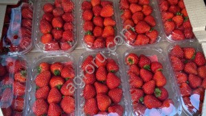Клубника свежая оптом