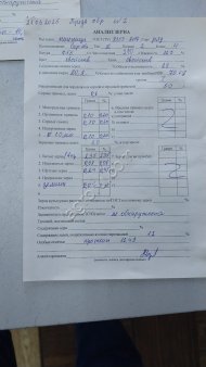 Пшеница мягкая 4,5 класс