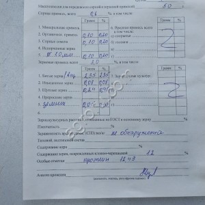 Пшеница мягкая 4,5 класс