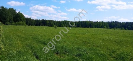 Участок земли в д.Кобылкинов  Смоленской области, Гагаринский раойн