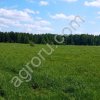 Участок земли в д.Кобылкинов Смоленской области, Гагаринский раойн
