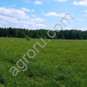 Участок земли в д.Кобылкинов  Смоленской области, Гагаринский раойн