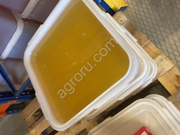 Мёд от пчеловодов оптом