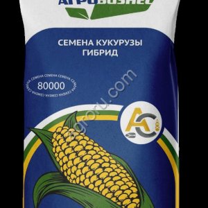 семена кукурузы гибрид НС 1090