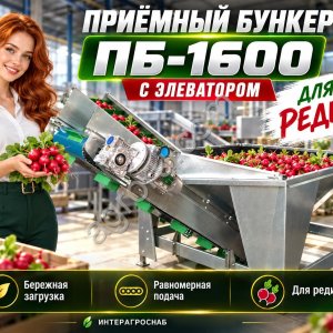 Приёмный бункер ПБ-1600 с элеватором для редиса