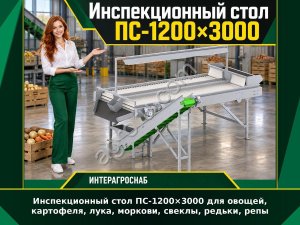 Инспекционный стол ПС-1200×3000 для овощей, картофеля, лука, моркови, свеклы, редьки, репы