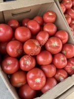 Томаты ( Помидоры )