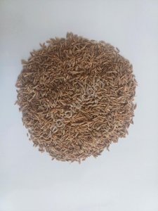 Зира (Cumin) цельная 99,5% из Индии от производителя