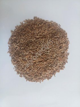 Зира (кумин) цельная 99,5% из Индии от производителя