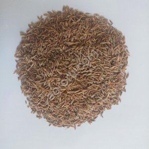 Зира (Cumin) цельная 99,5% из Индии от производителя