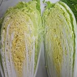 Пекинская капуста оптом