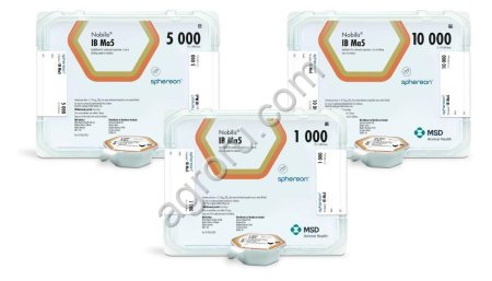 Нобилис IB Ma5