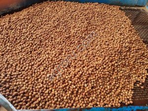 ЧИШЕННЫЙ ФУНДУК