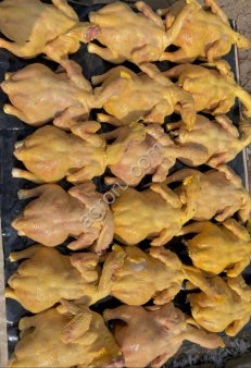 Куры бройлеры