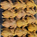 Куры бройлеры