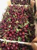 Вишня свежая  из Сербии