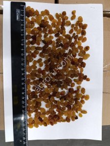 Изюм Малаяр