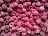Quick frozen raspberry whole
