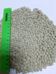 ЧЕЧЕВИЦА (зелёная /красная)