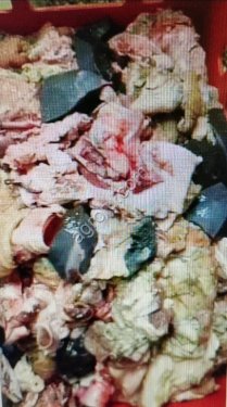 Ассорти из субпродуктов. Корм для собак