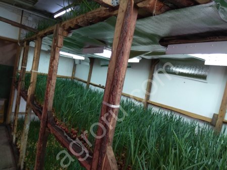 Готовый бизнес выгонка пера