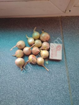 Выборок,севок