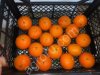Мандарины МАНДОРА