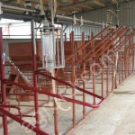 Доильная установка летний лагерь станки доение в молокопровод с монтажом и учетом молока