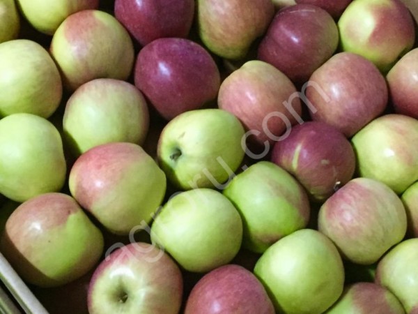 Фермерские яблоки различных сортов