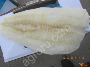 Рыба морепродукты от производителя