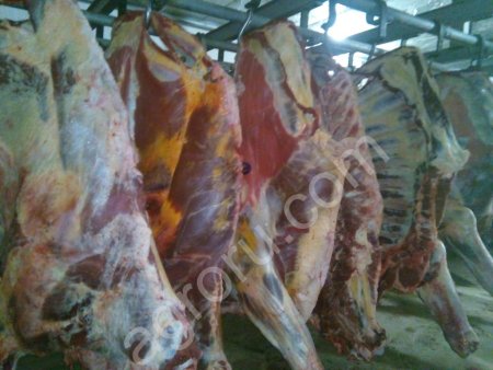 Говядина 1 сорт