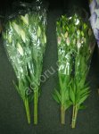 Свежесрезанные цветы и зелень