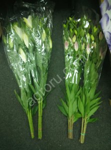 Свежесрезанные цветы и зелень