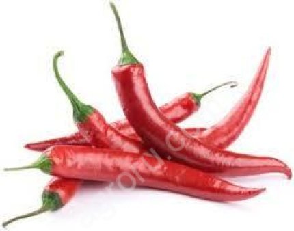 Перец (Чили)