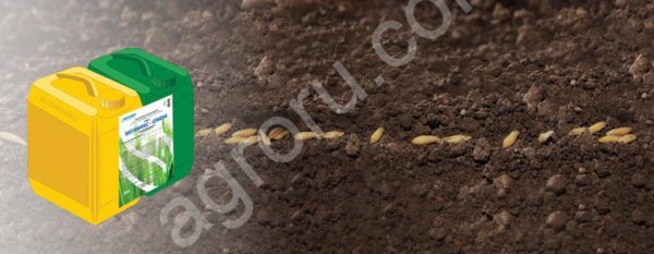 МЕГАМИКС СЕМЕНА