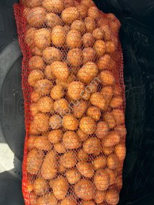 Картофель Гала