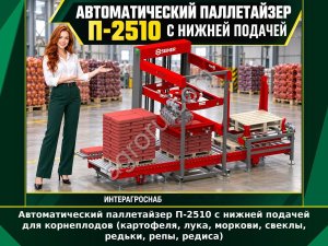 Автоматический паллетайзер П-2510 с нижней подачей для корнеплодов (картофеля, лука, моркови, свеклы, редьки, репы, редиса)