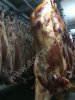 Конина п/т охлаждёнка, свежая заморозка