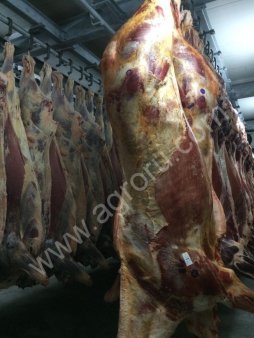 Конина п/т охлаждёнка, свежая заморозка