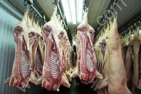 Свинина 1 категория