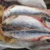 Морепродукты, Икра, Горбуши, Кеты, Рыба.